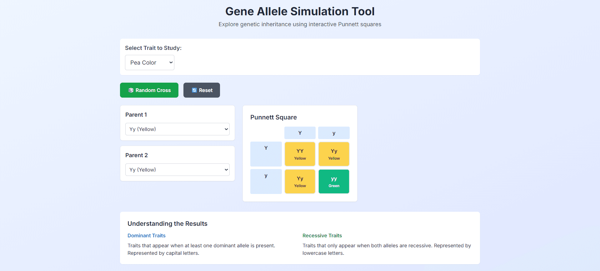 Screenshot of Punnett Square Visualizer