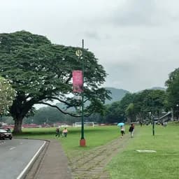 124.jpg