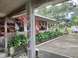 48.jpg
