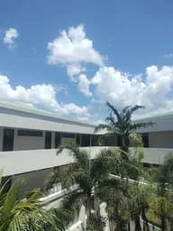 82.jpg