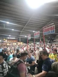 91.jpg