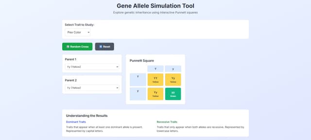 Project: Punnett Square Visualizer